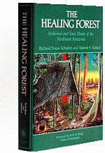 The Healing Forest