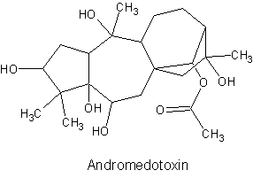 Andromedotoxin