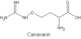 Canavanin