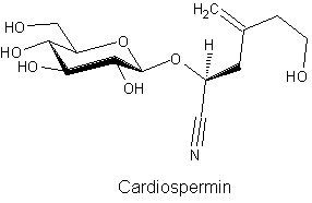 Cardiospermin