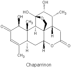 Chaparrinon