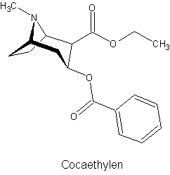 Cocaethylen