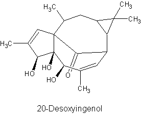20-Desoxyingenol
