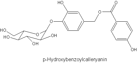 p-Hydroxybenzoylcalleryanin