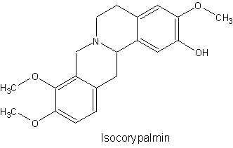 Isocorypalmin