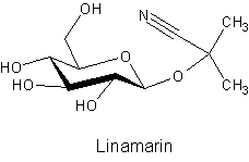 Linamarin