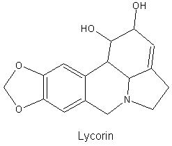 Lycorin