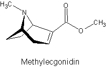 Methylecgonidin