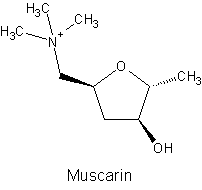 Muscarin