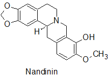 Nandinin