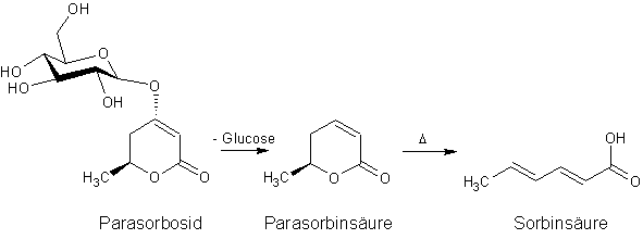 Parasorbosid Parasorbinsure Sorbinsure