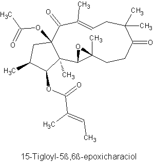 15-Tigloyl-5ß,6ß-epoxicharaciol