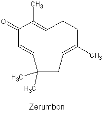 Zerumbon